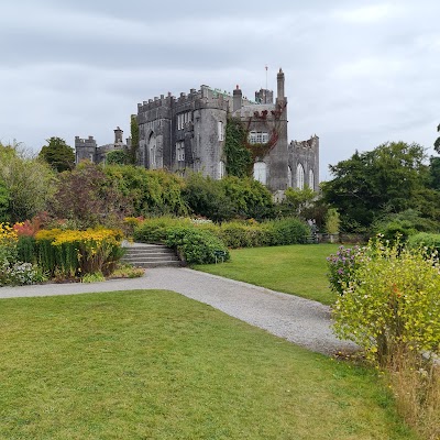 Conairí Bhiorra (Birr Castle)