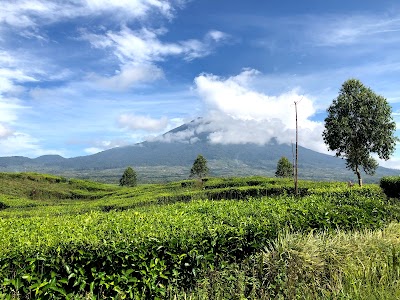 Gunung Kerinci (Mount Kerinci)