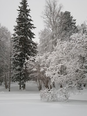 Mālpils parks (Mālpils Park)