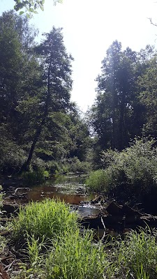 Viesītes upe (Viesīte River)