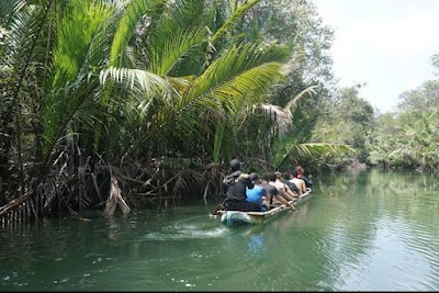  taman nasional ujung kulon  (Ujung Kulon National Park)