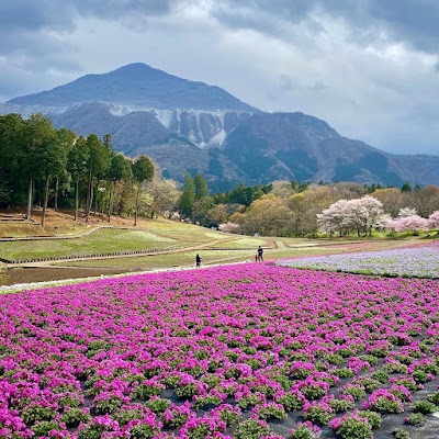 羊山公園 (Hitsujiyama Park)