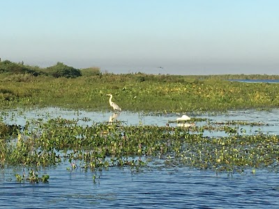 Estero del Ibera (Ibera Wetlands)