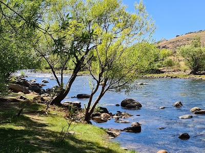 Valle del Río Aluminé (Aluminé River Valley)