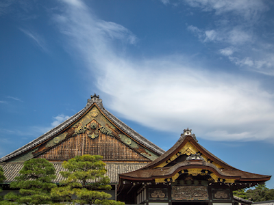 二条城 (Nijo Castle)