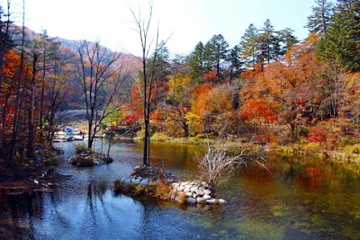 오대산국립공원 (Odaesan National Park)