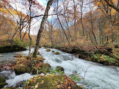 奥入瀬渓流 (Oirase Gorge)