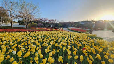 울산대공원 (Ulsan Grand Park)