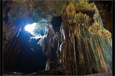 Gua Gomantong (Gomantong Caves)