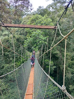 Taman Negara Kuala Tahan (Kuala Tahan National Park)