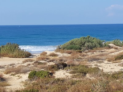 Ashkelon Beach