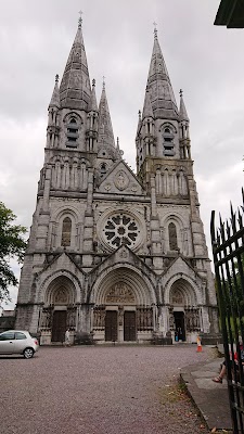 Ard-Eaglais Naomh Fionnbarra (St. Fin Barre's Cathedral)