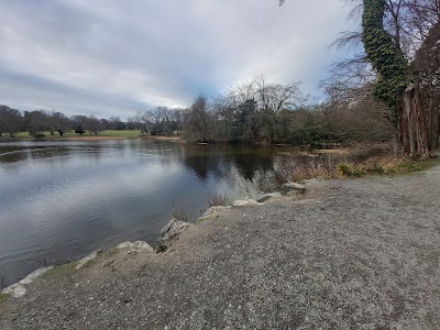 Cour Emó (Emo Court)