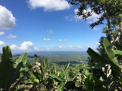 Accompong Town