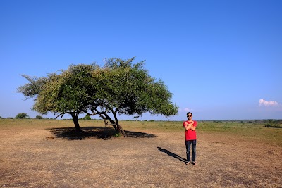 Taman Nasional Baluran (Baluran National Park)