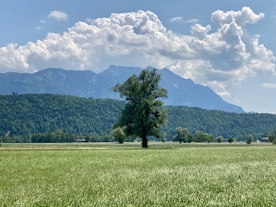 Ruggeller Riet (Ruggeller Riet Nature Reserve)