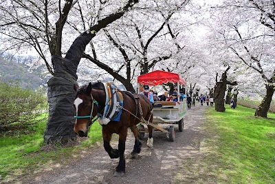 北上展勝地 (Kitakami Tenshochi Park)