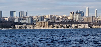 بحيرة وادي الشاطئ (Lake of Wadi al Shatii)