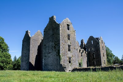 Caisleán na Brón (Burncourt Castle)