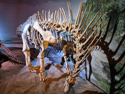 Museo Paleontológico Egidio Feruglio (Trelew Paleontological Museum)