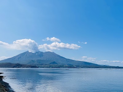 桜島 (Sakurajima)