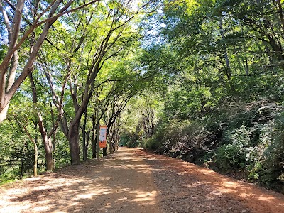 진안 홍산 (Jinan Red Clay Mountain)