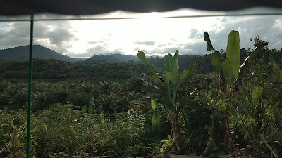 Gunung Mas (Gunung Mas)