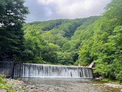 白神山地 (Shirakami-Sanchi)