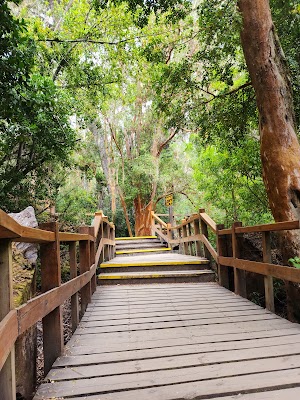 Parque Nacional Los Arrayanes (Los Arrayanes National Park)