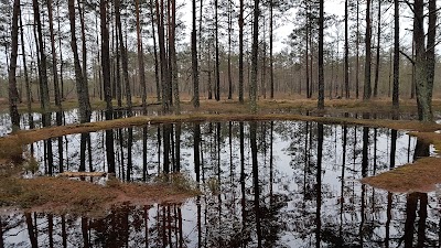 Rūdninkai Forest