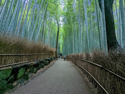 嵐山竹林 (Arashiyama Bamboo Grove)