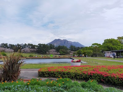 吉野公園 (Yoshino Park)