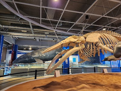 장생포 고래박물관 (Jangsaengpo Whale Museum)