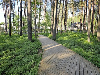 Dzintaru meža parks (Dzintari Forest Park)