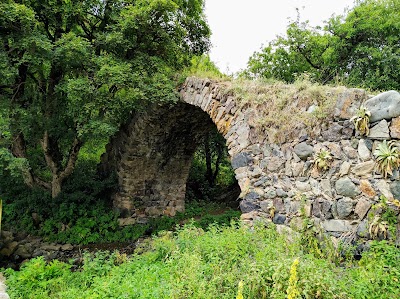 Շիկահողի պետական արգելոց (Shikahogh State Reserve)