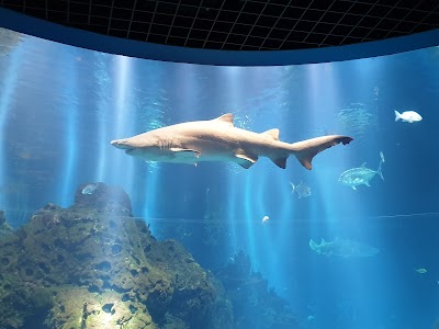 Scientific Center Aquarium