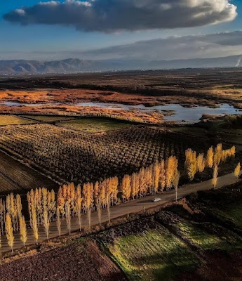 وادي البقاع (Beqaa Valley)