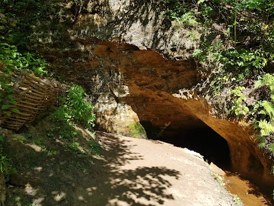 Gutmaņa ala (Gutmanis Cave)