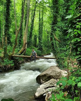 مسار جبال لبنان (Lebanon Mountain Trail)