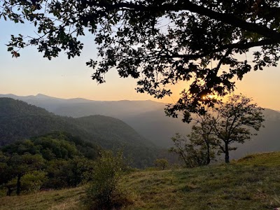 Դիլիջանի ազգային պարկ (Dilijan National Park)