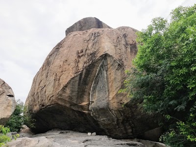 فن الصخور القديمة (Ancient Rock Art)