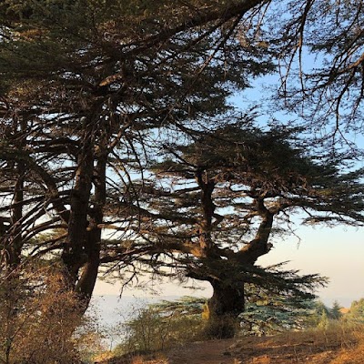 محميّة الشوف (Al Shouf Biosphere Reserve)