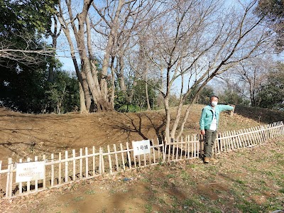 قبور المرقب القديمة (Ancient Tombs of Murqub)