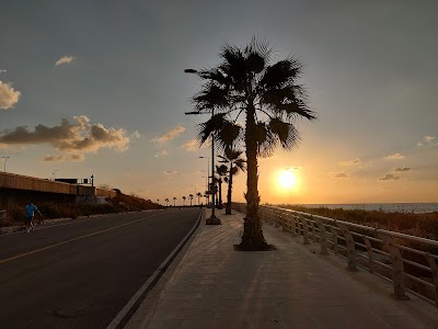 كورنيش بيروت (Beirut Corniche)