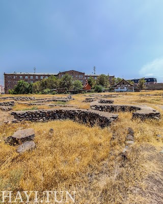 Շենգավիթ (Shengavit Archaeological Site)