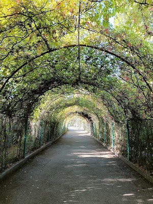 Երևանի բուսաբանական այգի (Yerevan Botanical Garden)