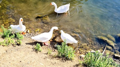 Պարզ լիճ (Lake Parz)