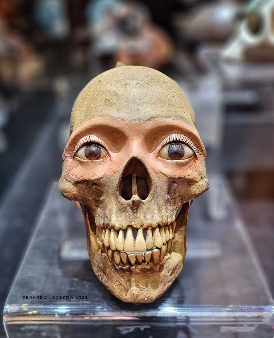 Museo Nacional de la Muerte (National Museum of Death)