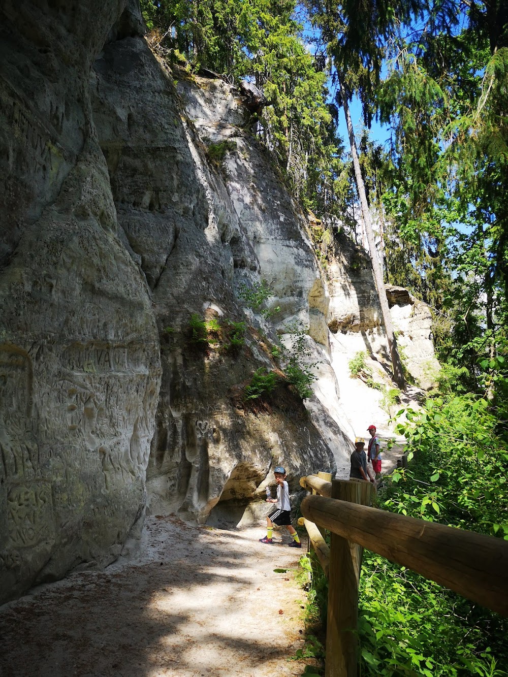 Sietiņiezis (Sietiņiezis White Rock)