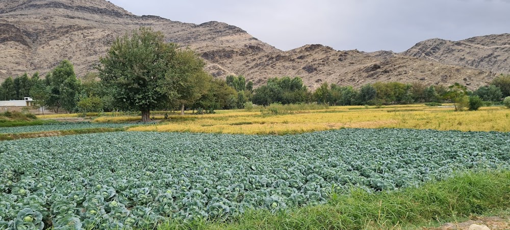 قرغیی ولسوالی (Qarghayi District)